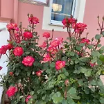 Megali Nikos Apartmán Sidárion