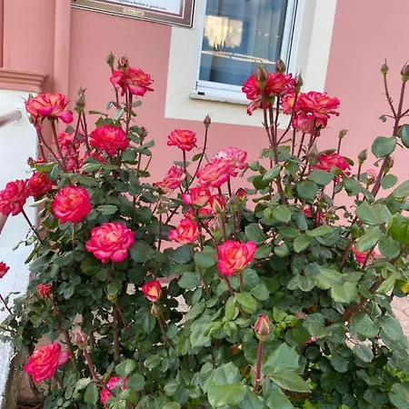 Megali Nikos Appartement Sidárion
